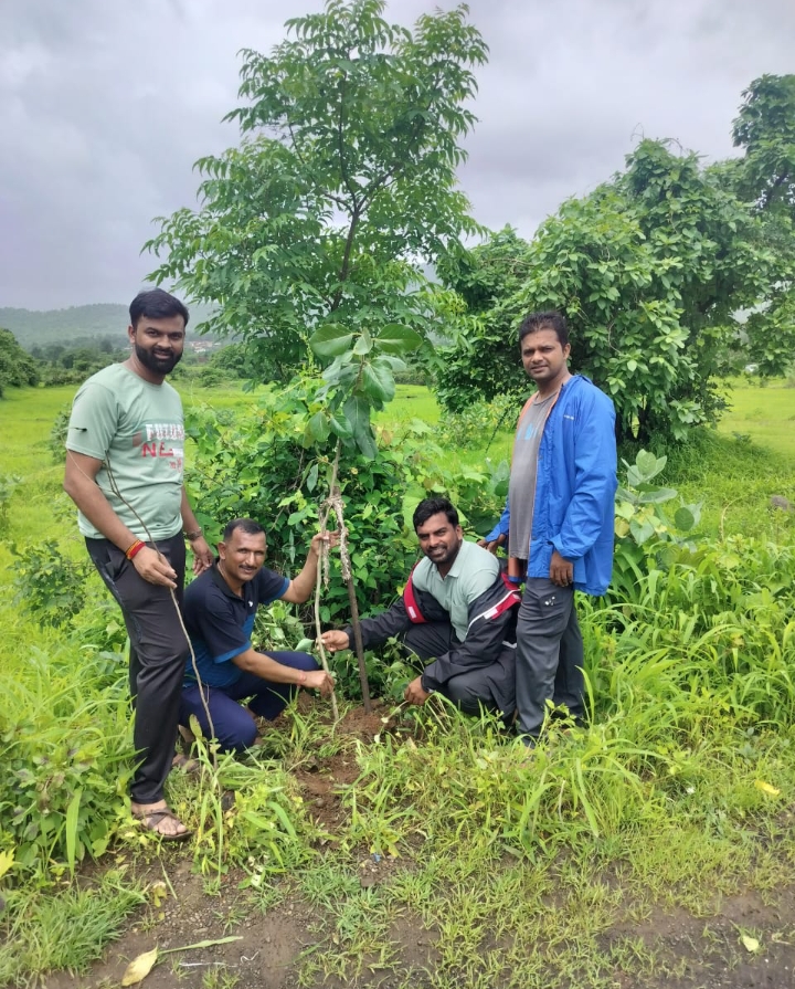 वृक्ष लागवड